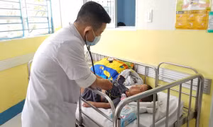 Dịch viêm màng não và viêm não Nhật Bản không còn xuất hiện theo mùa