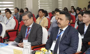 Chuyên gia quốc tế cảnh báo nhu cầu cấp thiết về quy định sử dụng AI trong doanh nghiệp