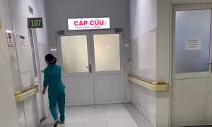 TP Hồ Chí Minh: Tập trung nguồn lực điều trị cho bệnh nhân ngộ độc thực phẩm tại chung cư Palm Heights