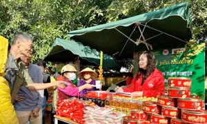 Ra mắt kho thực phẩm cộng đồng cho người khó khăn tại tỉnh Thanh Hoá