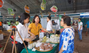 Thị trường Trung Quốc không còn ‘dễ tính’ với nông sản Việt Nam 