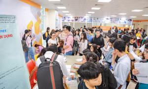 70% sinh viên tốt nghiệp chưa trang bị tốt về chuyên môn