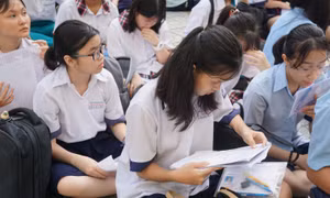 TP Hồ Chí Minh công bố điểm thi tuyển sinh lớp 10 