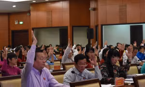 TP Hồ Chí Minh hỗ trợ hơn 7 tỷ đồng cho các nhóm trẻ độc lập và tư thục