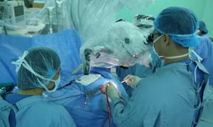 Sán nhái dài 7cm nằm trong não của người đàn ông 