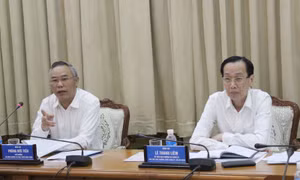 TP Hồ Chí Minh tăng phòng dịch tả lợn châu Phi, đảm bảo nguồn cung 