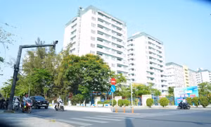 Sinh viên TP Hồ Chí Minh dần chuyển sang giao thông xanh