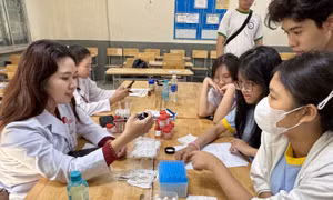 TP Hồ Chí Minh: Tăng cường xây dựng văn hóa học đường gắn với đạo đức nhà giáo