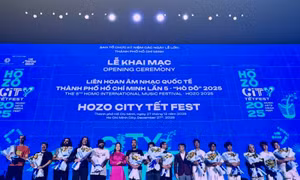 Hozo City Tết Fest 2025: Không gian đa trải nghiệm của đô thị sáng tạo