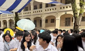 TP Hồ Chí Minh tăng trách nhiệm phòng ngừa bạo lực học đường
