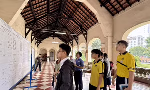 TP Hồ Chí Minh công bố điểm thi, điểm chuẩn lớp 10 chuyên và tích hợp