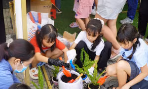 TP Hồ Chí Minh tăng cường phòng ngừa mất an toàn tại cơ sở mầm non