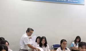 TP Hồ Chí Minh: Triển khai xét thăng hạng nhà giáo