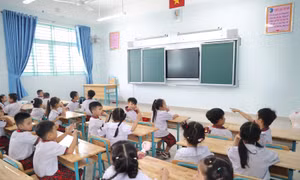 Sở Giáo dục và Đào tạo TP Hồ Chí Minh cảnh báo lỗi đăng ký tuyển sinh đầu cấp
