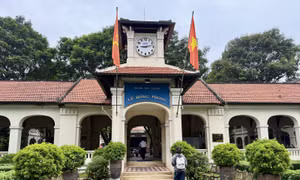 TP Hồ Chí Minh: Hoàn tất đợt xác nhận nhập học lớp 10 chuyên, tích hợp