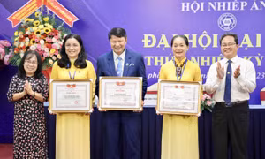 Tạo động lực mới cho nhiếp ảnh TP Hồ Chí Minh trong thời kỳ số