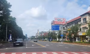 TP Hồ Chí Minh: Điều chỉnh giao thông đường phục vụ 'Ngày hội Văn hóa và Thể thao'