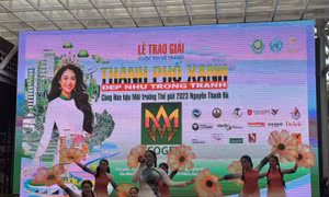 TP Hồ Chí Minh: Trao giải cuộc thi vẽ tranh 'Thành phố xanh - Đẹp như trong tranh'