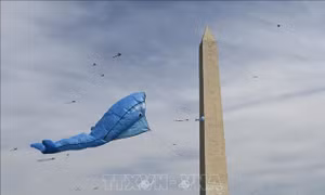 Ấn tượng Lễ hội thả diều mùa hoa anh đào tại Washington D.C