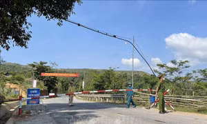 Thêm 4 trường hợp dương tính liên quan đến ổ dịch huyện Nậm Pồ, Điện Biên