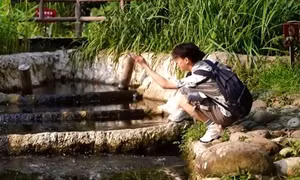 Công viên không muỗi ở Trung Quốc hút khách tham quan