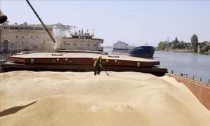 Thổ Nhĩ Kỳ, Iran và Ai Cập là các nước mua nhiều ngũ cốc của Nga nhất 