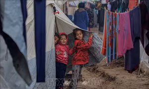 Toàn bộ dịch vụ viễn thông ở Gaza sẽ dừng lại trong vài giờ tới 
