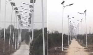 Dân làng tham lam dựng cả nghìn cột đèn cao áp trên con đường 3km để lấy tiền đền bù