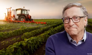Hé lộ lý do khiến tỷ phú Bill Gates mua nhiều đất nông nghiệp tại Mỹ