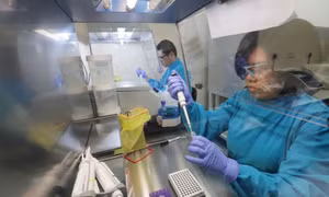 Người nhiễm virus Corona có thể ốm nhẹ trong 1 tuần mới phát bệnh nặng