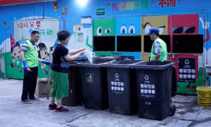 ‘Quy tắc lợn’ - Sáng kiến có giúp giải quyết vấn nạn xử lý rác thải của Thượng Hải?