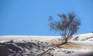 Cảnh tượng cực hiếm: Băng tuyết phủ trắng sa mạc Sahara