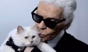 Mèo cưng của Karl Lagerfeld có thể thành ‘mèo giàu nhất hành tinh’