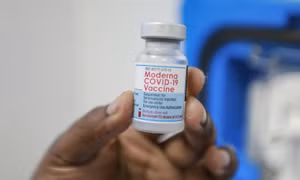 Moderna đang điều chế liều vaccine phòng cả COVID-19 và cúm 