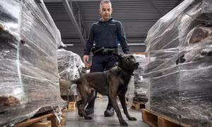 Cảng hàng hóa lớn nhất châu Âu ‘chìm trong cocaine'