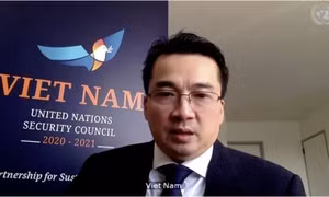 Việt Nam và HĐBA: Hối thúc HĐBA thể hiện vai trò lãnh đạo trong ứng phó với đại dịch COVID-19