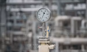 Mùa đông ấm hơn có thể làm giảm một nửa giá khí đốt ở châu Âu