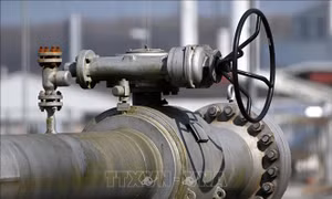 Mỹ thừa nhận lệnh áp trần giá đối với dầu của Nga mất hiệu quả