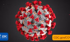 Chủng virus Corona biến thể tại Anh xuất hiện ở nhiều quốc gia và vùng lãnh thổ