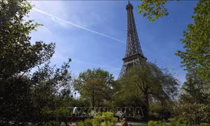 Pháp hủy bỏ kế hoạch chặt cây và xây cửa hàng dưới chân Tháp Eiffel
