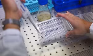Các nhà khoa học điều chế vaccine cho Bệnh X bí ẩn