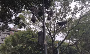 Cuộc sống ở thành phố bị giám sát chặt chẽ nhất thế giới