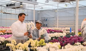 Hậu ở ẩn, tỷ phú Jack Ma chuyển từ thương mại điện tử sang trồng trọt?