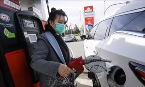 WB dự báo giá năng lượng, thực phẩm sẽ leo cao trong 3 năm