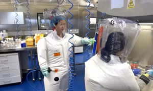 Nhà khoa học ‘người dơi’ Trung Quốc cảnh báo virus Corona có thể lại bùng phát