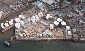 IEA sẽ tham vấn các chính phủ châu Á và châu Âu về việc xả thêm dầu dự trữ
