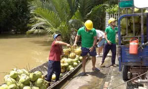 Fobers: Nông sản Việt Nam trở thành hàng tiêu dùng cao cấp mới tại Mỹ