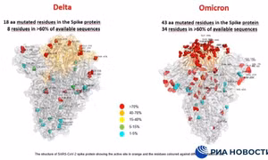 Hình ảnh đầu tiên chỉ ra sự khác biệt giữa hai biến thế Omicron và Delta