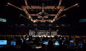 Elon Musk thách đấu Mark Zuckerberg, UFC dự báo doanh thu kỷ lục  