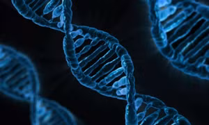 Em bé đầu tiên có DNA của 3 người chào đời tại Anh